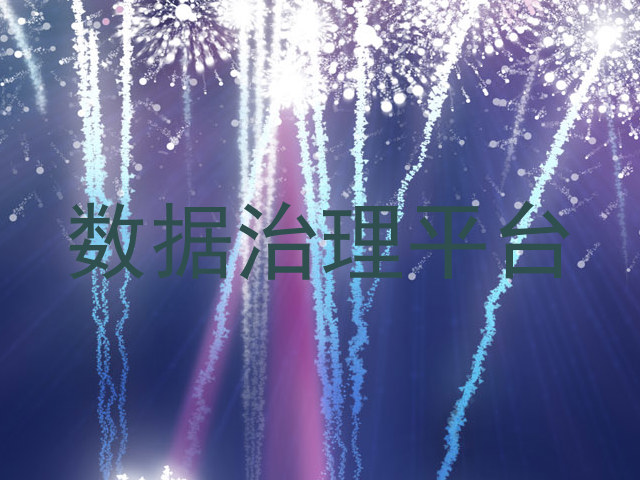 数据治理平台