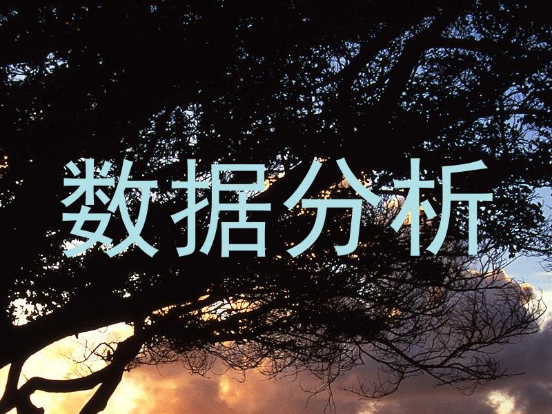 数据分析