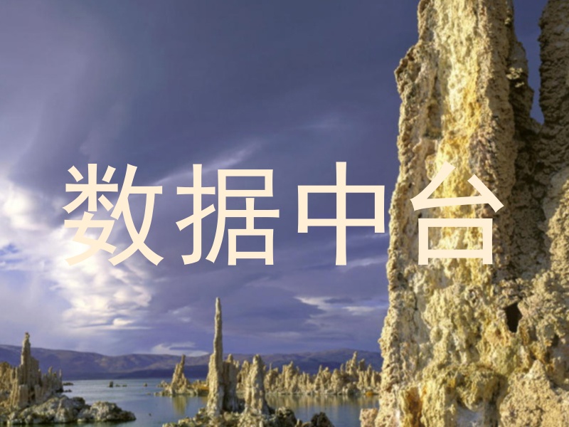 数据中台