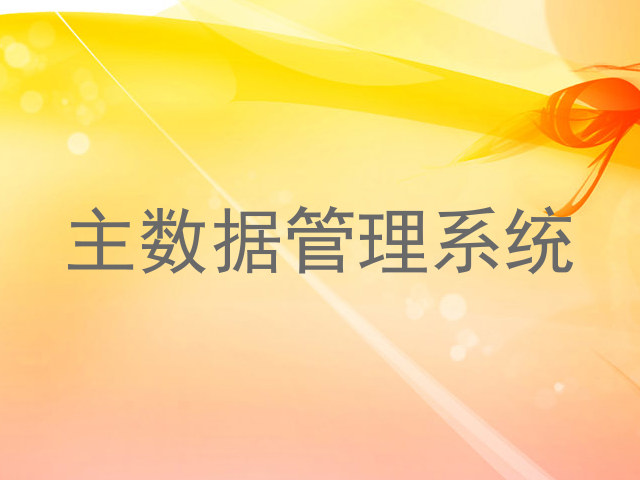 主数据管理系统