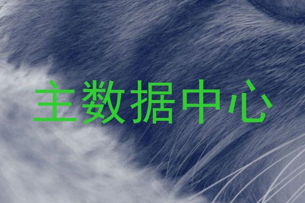 主数据中心