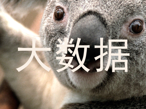 大数据