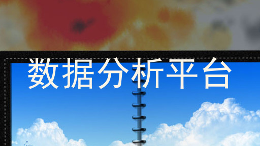 数据分析平台