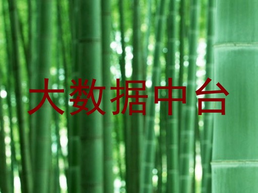 大数据中台