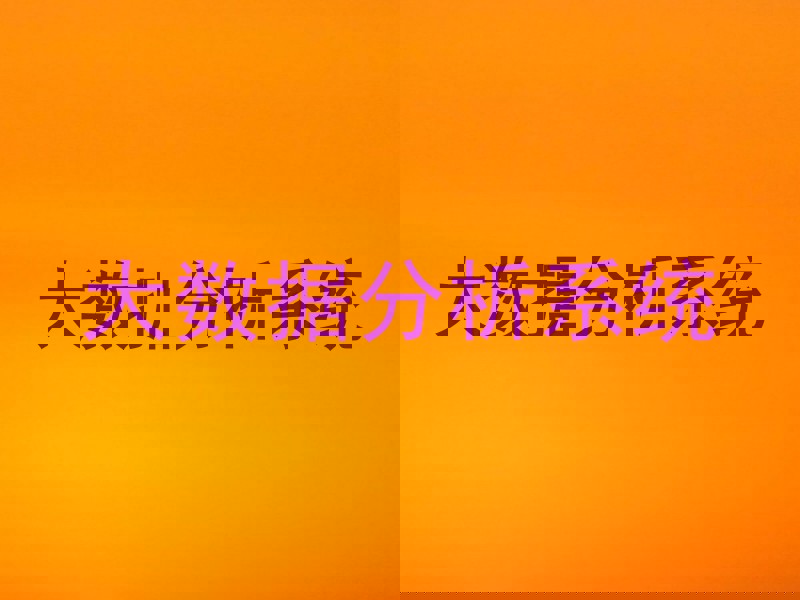 大数据分析系统