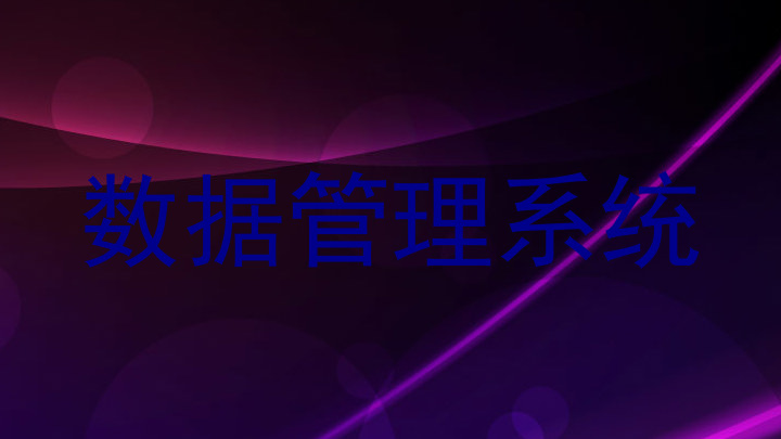 数据管理系统