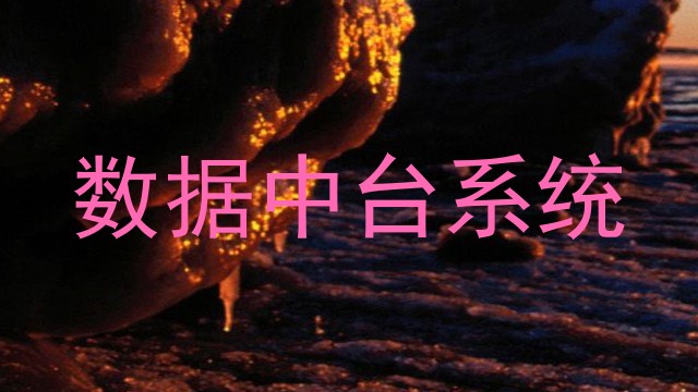 数据中台系统