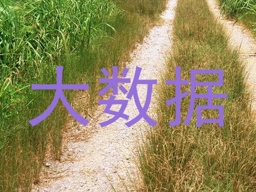 大数据