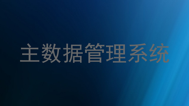 主数据管理系统