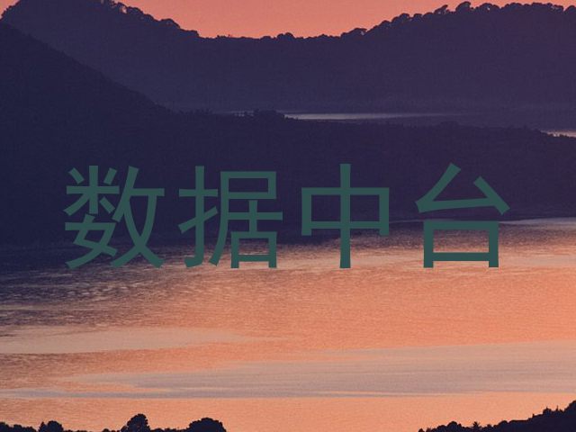 数据中台