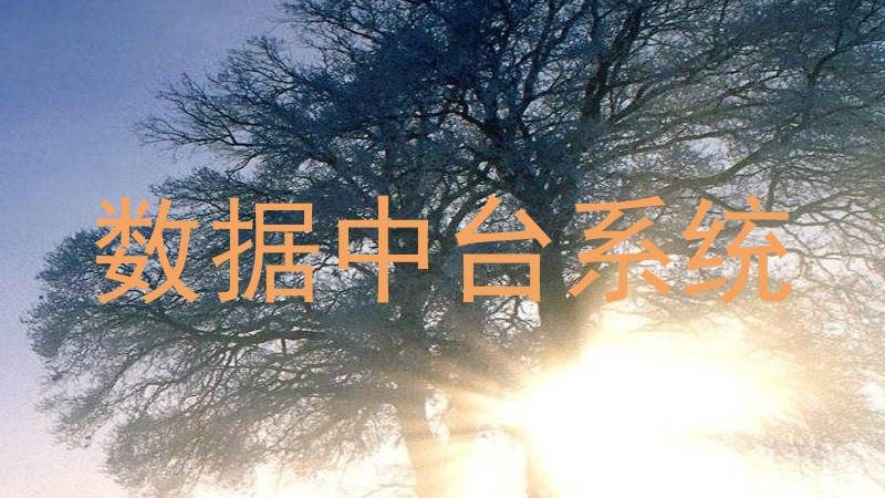 数据中台系统