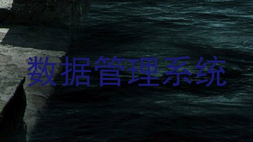 数据管理系统