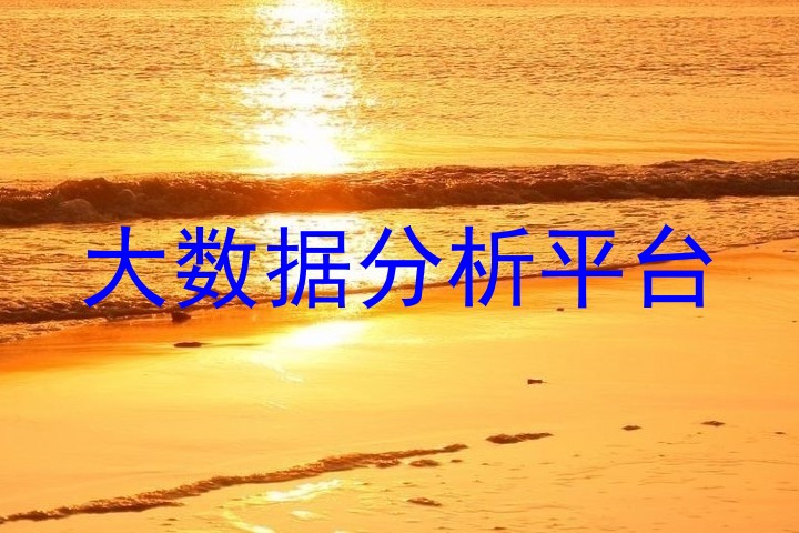 大数据分析平台