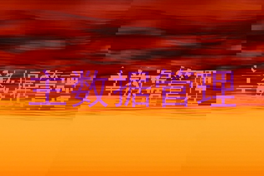 主数据管理