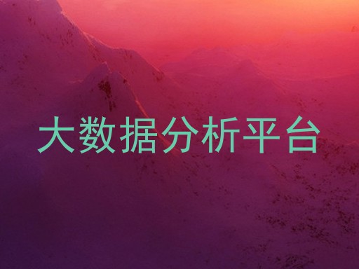 大数据分析平台