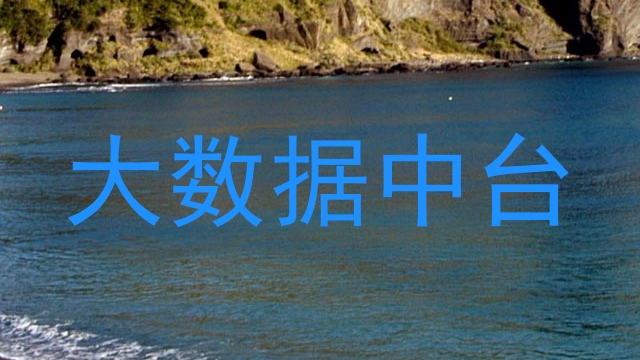 大数据中台