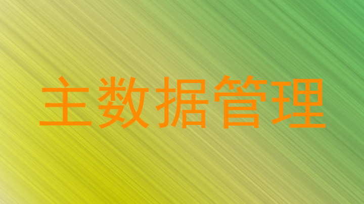 主数据管理