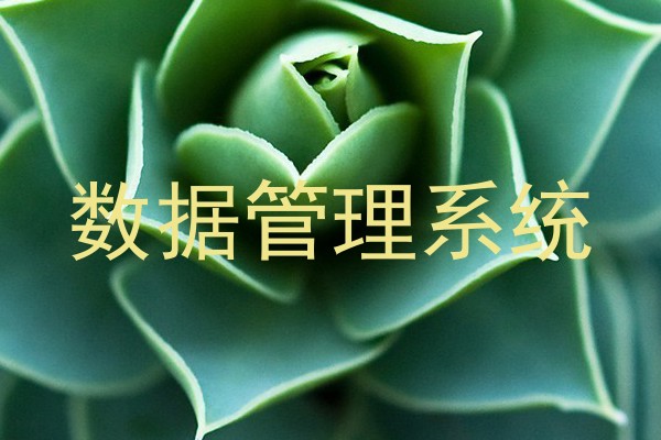 数据管理系统
