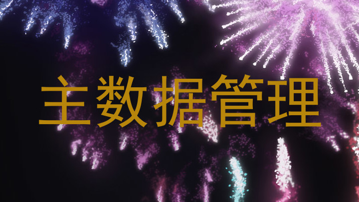 主数据管理