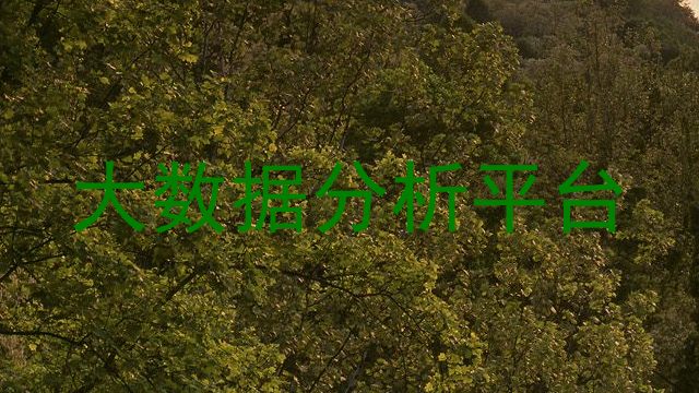大数据分析平台