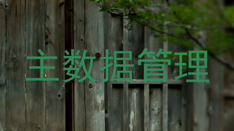 主数据管理