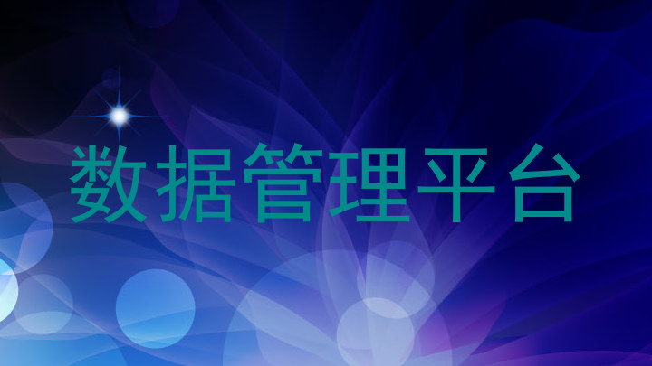 数据管理平台