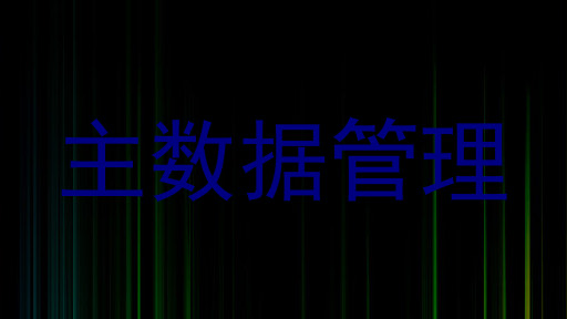 主数据管理