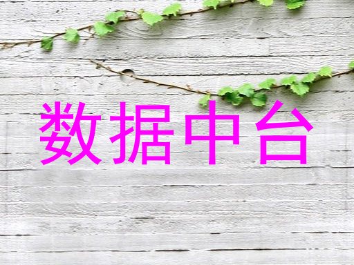 数据中台