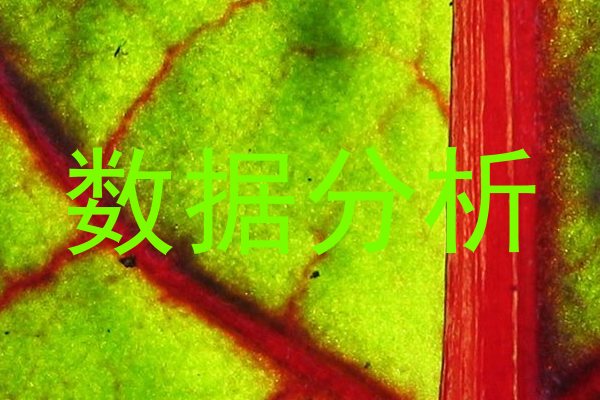 数据分析