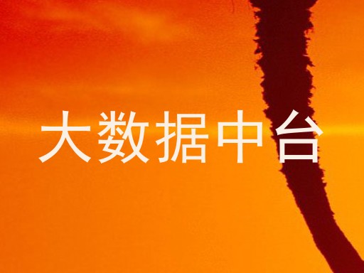 大数据中台