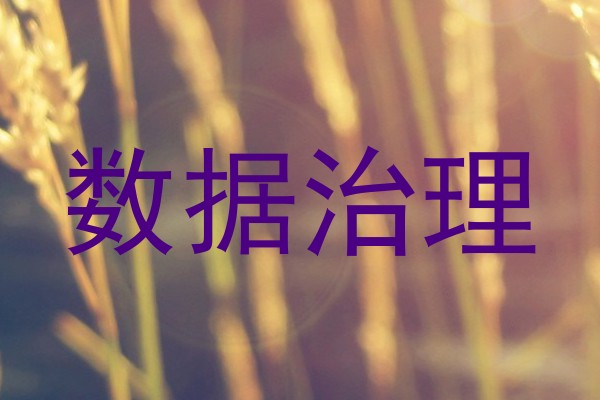 数据治理