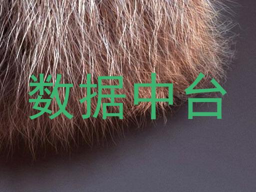 数据中台
