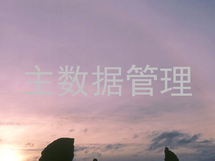 主数据管理