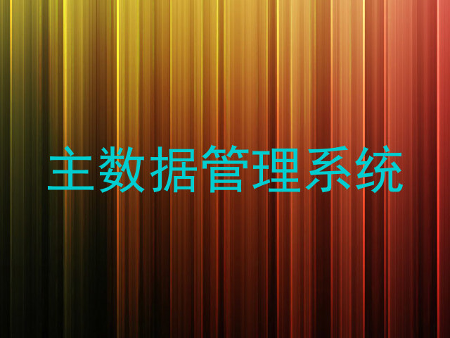 主数据管理系统