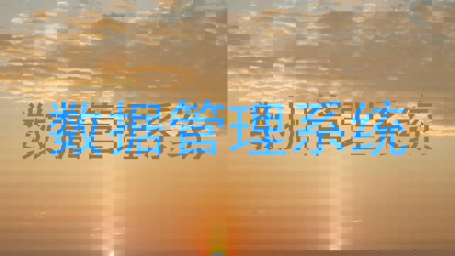 数据管理系统