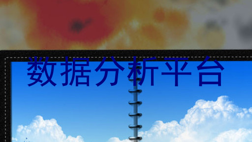 数据分析平台