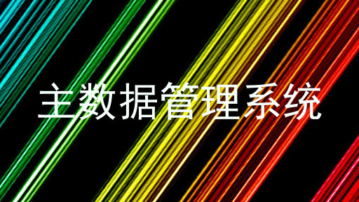 主数据管理系统