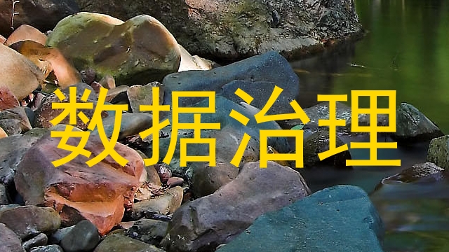 数据治理