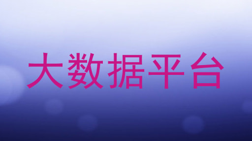 大数据平台