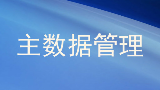 主数据管理