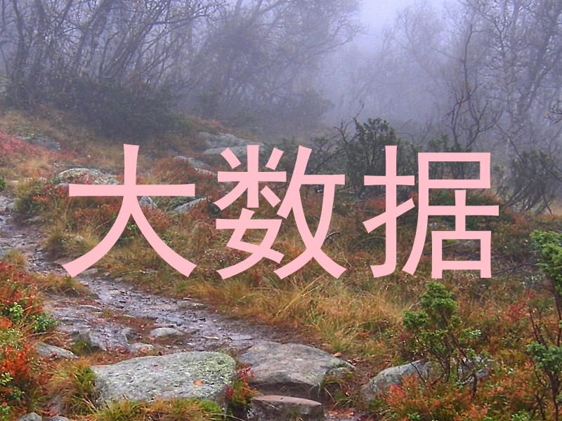 大数据