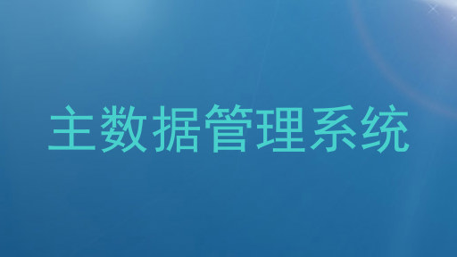 主数据管理系统