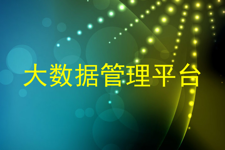 大数据管理平台