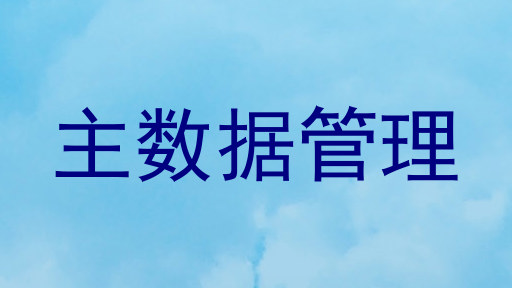 主数据管理