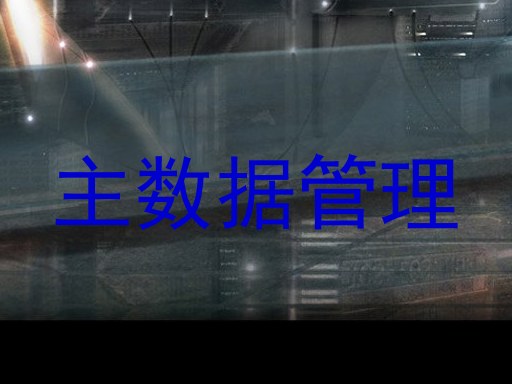 主数据管理