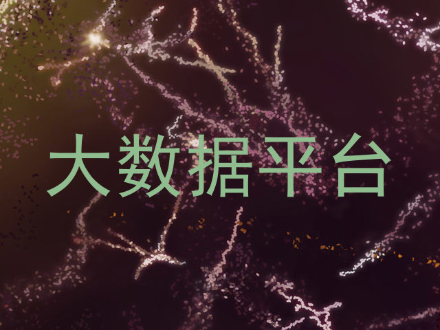 大数据平台