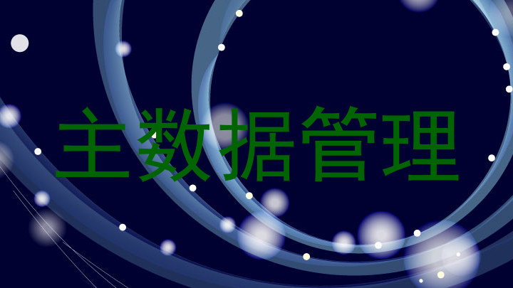 主数据管理