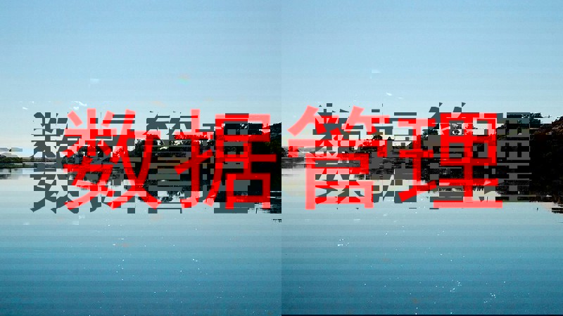 数据管理