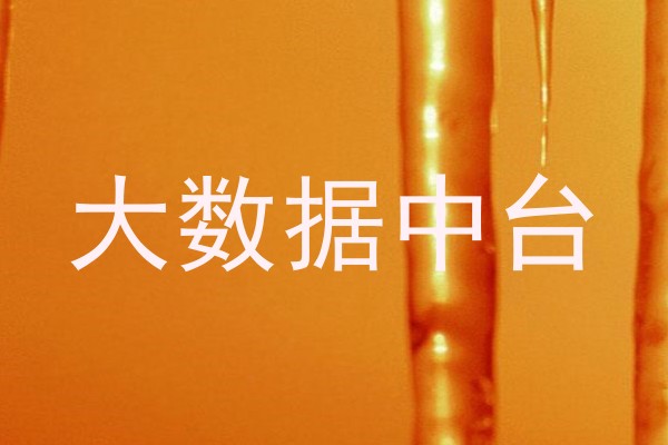 大数据中台