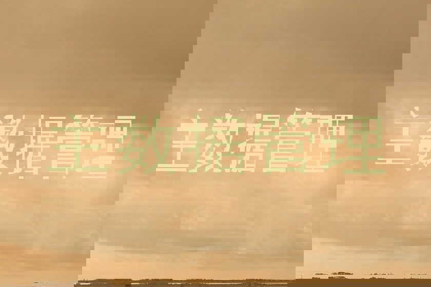 主数据管理